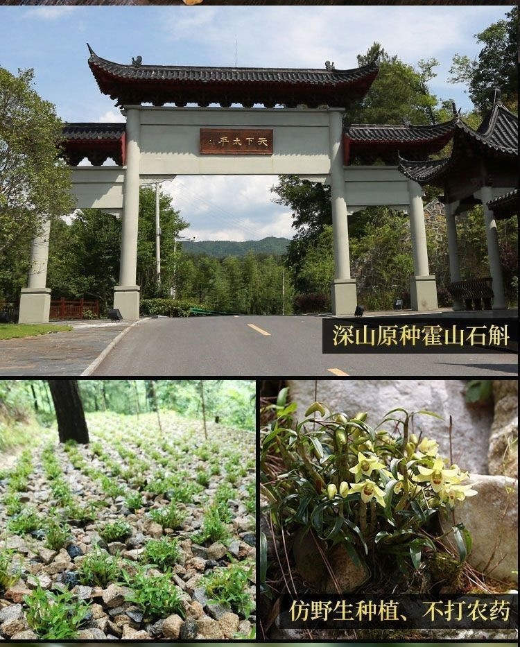 Huo Shan Tie Pi Shi Hu Dried Dendrobium Flowers Herbal Tea 20g Gift Box overview