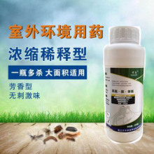 �������x��5.6%���Ȱ�������nω��������������x�w�x���xșˮ