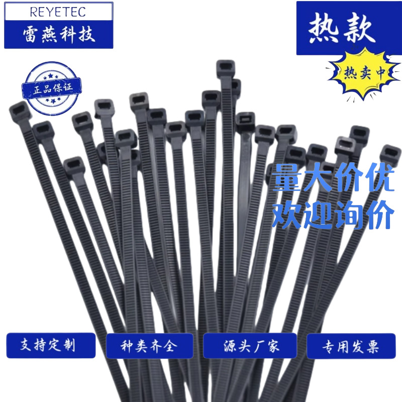 雷燕科技 PP耐酸碱扎带 CV-200TB黑色-尼龙扎线带 聚丙烯扎带