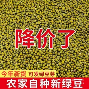 �|���¾G��100g-5���w��M�Ҝ��G��ɳ��Ʒ�l��ѿ�G�����������l