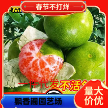 ������Ƥ�۽������Ә��������Ϸ��Nֲ����ͥԺˮ�����Ә���o��
