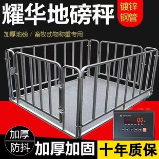 �Ϻ�ҫ�A�ذ��Q�iţ�����ڼӺ�3���������ع��S����5���o����ӳ�