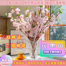 桃花枝遇水开花水培真桃花新鲜桃枝干支花卉年宵花厂家亚马逊