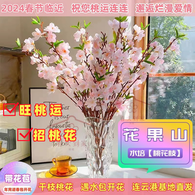 桃花枝遇水开花水培真桃花新鲜桃枝干支花卉年宵花厂家亚马逊