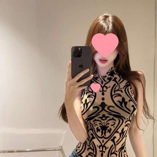 New Chinese Style Summer Retro Print National Style Sexy Sheer Mesh Collar-Up Top Women's Bodysuit