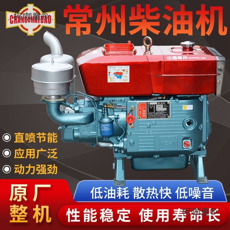 Changzhou Diesel Engine Single Cylinder Water-Cooled Engine 12 Hp 15 Hp 18 Hp 20 Hp 22 Hp 25 Hp Metabo