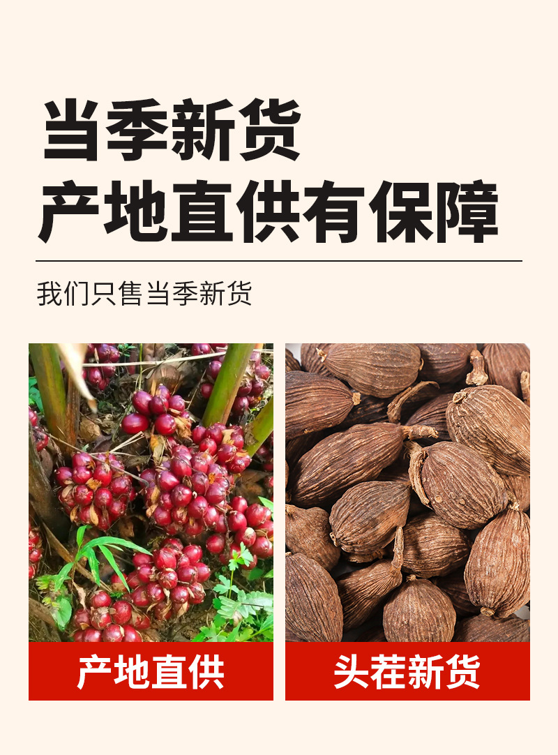 Cao Guo (Amomum tsaoko) — Dried Tsaoko Fruit Spice for Braised Dishes & Herbal Soups quality and texture