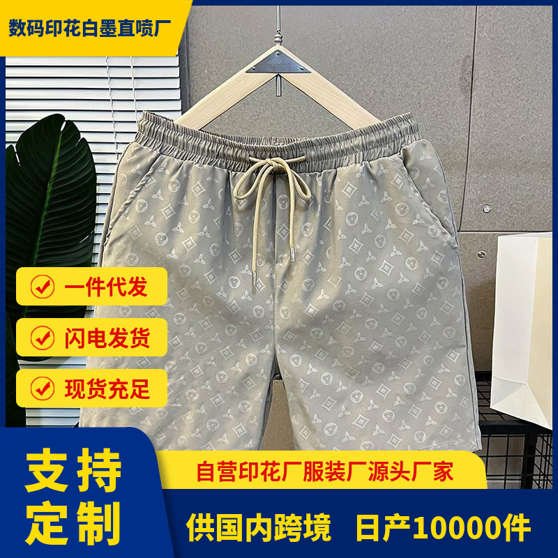 Men's Summer Thin Ice Silk Shorts Trendy Brand Sports Quick-Dry Casual Shorts Versatile Trendy Beach Shorts Zs