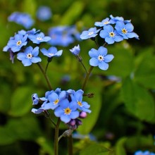 羳؛ݷN޸NҷNļ׷NͥԺ