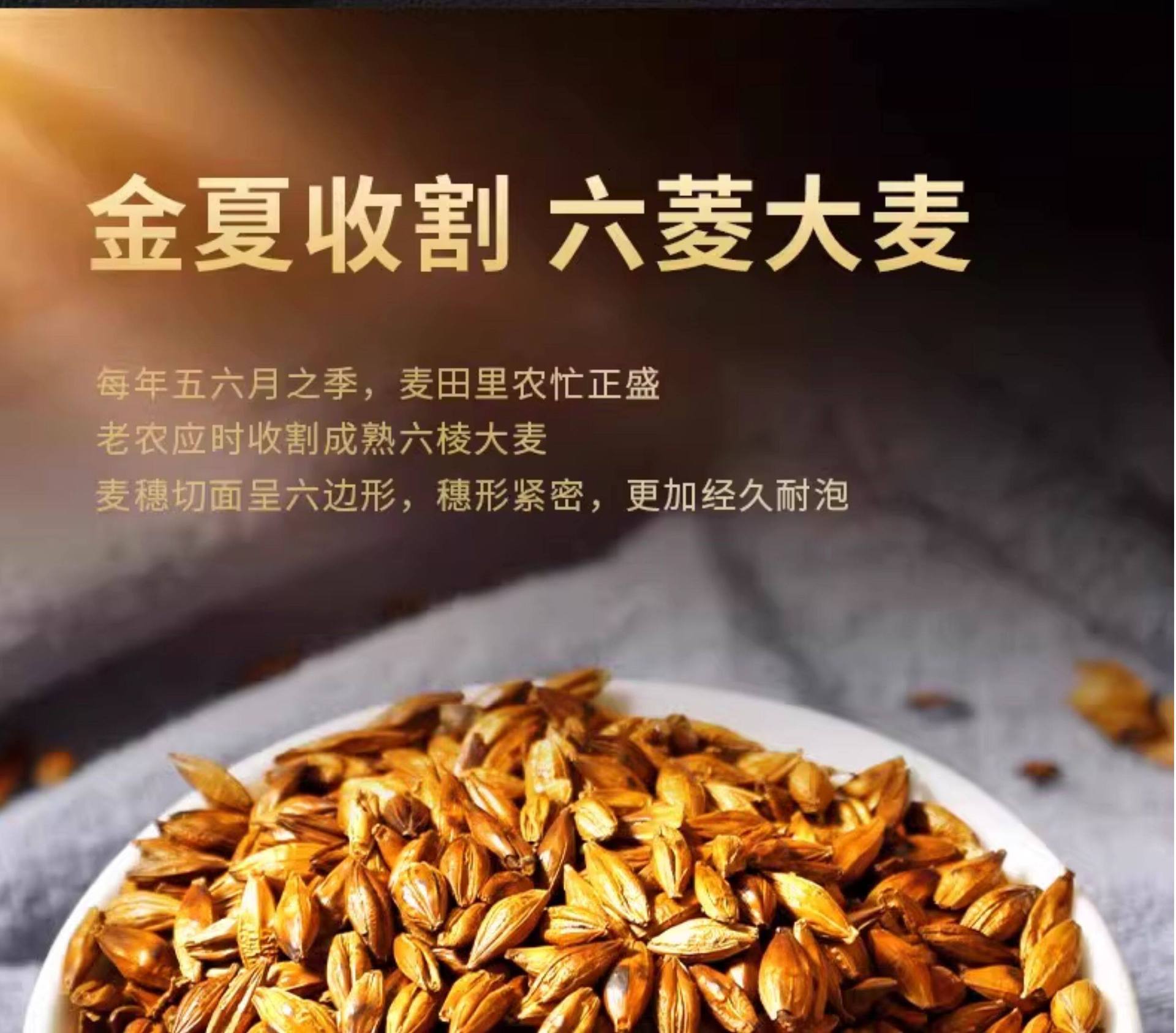 Premium Roasted Barley Sprout Dried Herbal Tea 500g Jar Traditional Chinese Grain Decoction overview