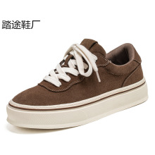 �羳2025����p�݌W����ϵԭ���L�\�����eЬ��׳����Ьϵ������