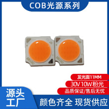 COB30V 10Wů׼t۹l11mm 10cobͲо羳