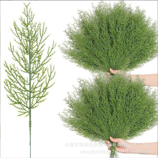 �羳 �����ɘ�֦ �پGɫֲ�����~��Ƭ DIY���h��ˇƷ�}�Q���b�