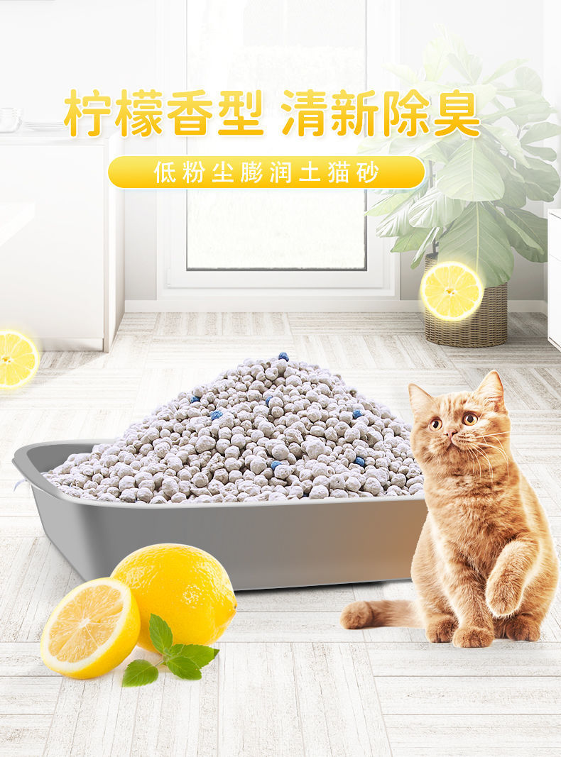 866c2c9b-434a-4741-a48f-3e36b28dfec5.jpe