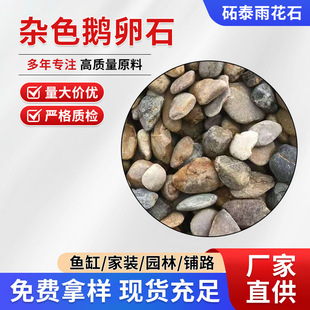 �Z��ʯ���ʯ�^ͥԺ䁵��·���@�쾰��Ȼ�껨��ɫ��ɫ�sɫ�Z��ʯ