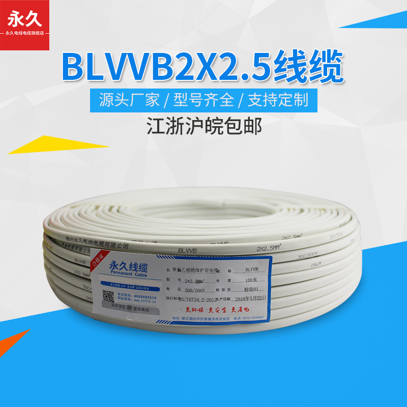 �ӹ����Ƽ�װ���ߵ�����BLVVB2о2.5/4/6ƽ�������廤���߳���