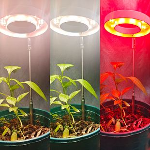 USB Timing Clip Plant Fit Light Imitation Sun Full Spectrum Flower Moss Fleshy Potted Micro Landscape