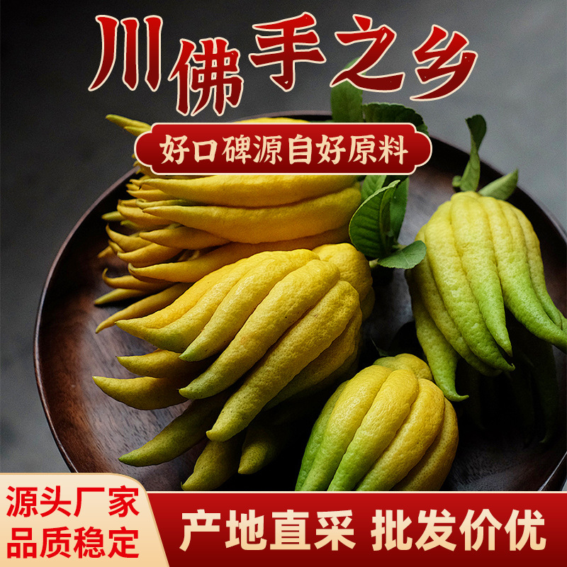 【厂家直销不带枝川佛手】现摘现发青黄可选闻香观赏食用佛手
