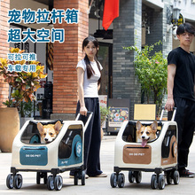 DODOPET���R�d�羳����؈�乷����ֻȮ������ۯB͸�⌙�����U��