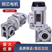 rv减速机小型减速器蜗轮蜗杆减速机电机一体机变速箱nmrv50 63 75