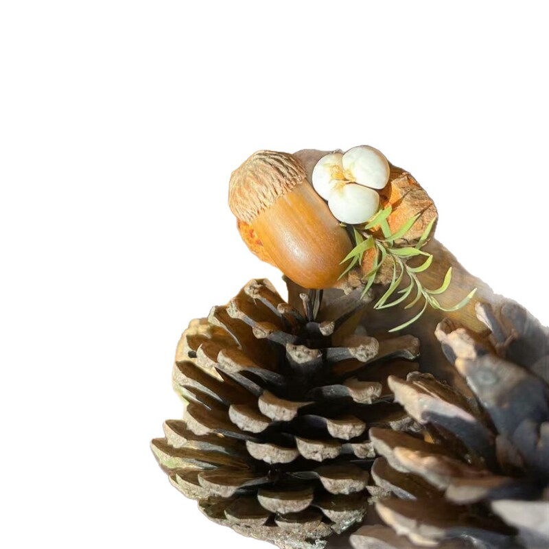 . 森系复古果实胸针天然植物干果手工别针文艺穿搭个性配饰|undefined