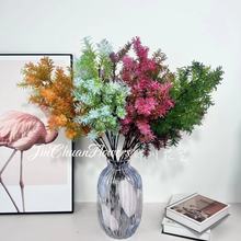 ���R�ɷ��滨 ��ݷ���Gֲ���ɻ�c�b�Y��ɭϵ�����ҾӔ[��