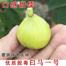 �o����������Rһ̖�o������������ͥԺ���������ϱ����Nֲ������