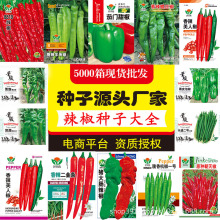 Դ�^�S�����l�����N�ӳ��콷���˽�ţ�ǽ��ݽz�����������N�Ѵ�ȫ