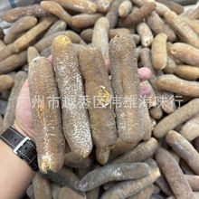 �d�����x؛��d�� ���_�T��d���S��ɳ�d�� ���ɺ�����؛�a��؛Դ