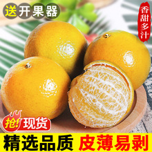 正宗广西水果橘子10斤新鲜桔子当季整箱砂糖皇帝柑贡柑大果沃5柑