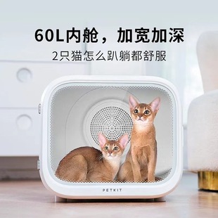 Pet Drying Box Cat Blow Water Special Household Bath Automatic Blow-drying Artifact Small
