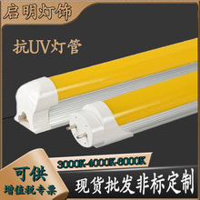 定制T8一体抗UV抗紫外LED灯管无尘车间黄光防紫外灯管1.2米分体