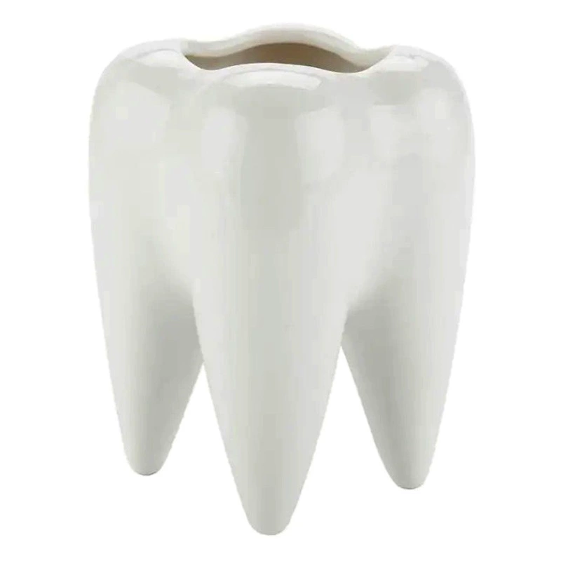 Фабрика в скандинавском стиле ins мясистый горшечный чистый белый керамический держатель для ручек домашние украшения трансграничный цветочный горшок в форме зуба