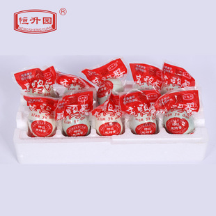 ���a���@������������70��100ö�t�����͏S�Ұl؛��հ��b������