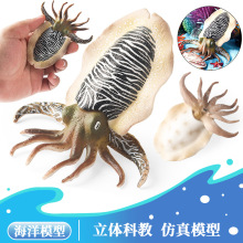 ͯJ֪溣ģī~~צ~\w~[