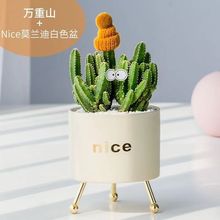 ����ֲ�����ԾGֲ�����������������҃�ֲ������I�B�����նY��