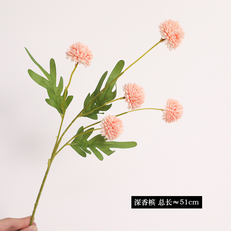 깊은 샴페인 컬러