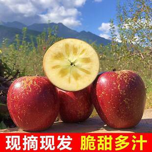 �Ĵ����ɽ���O���������}Դ�������r�ЋDˮ�������Ұ��