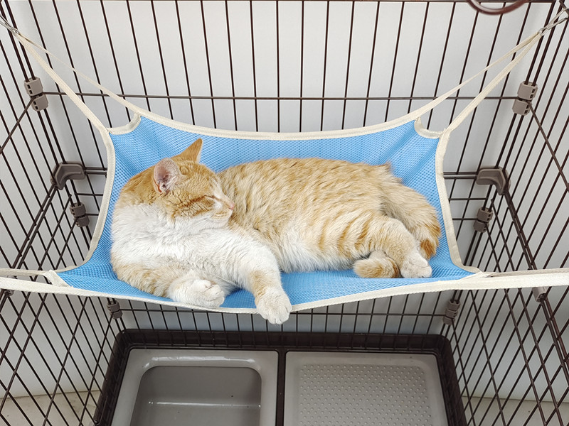 微信图片_2021060320513514_副本