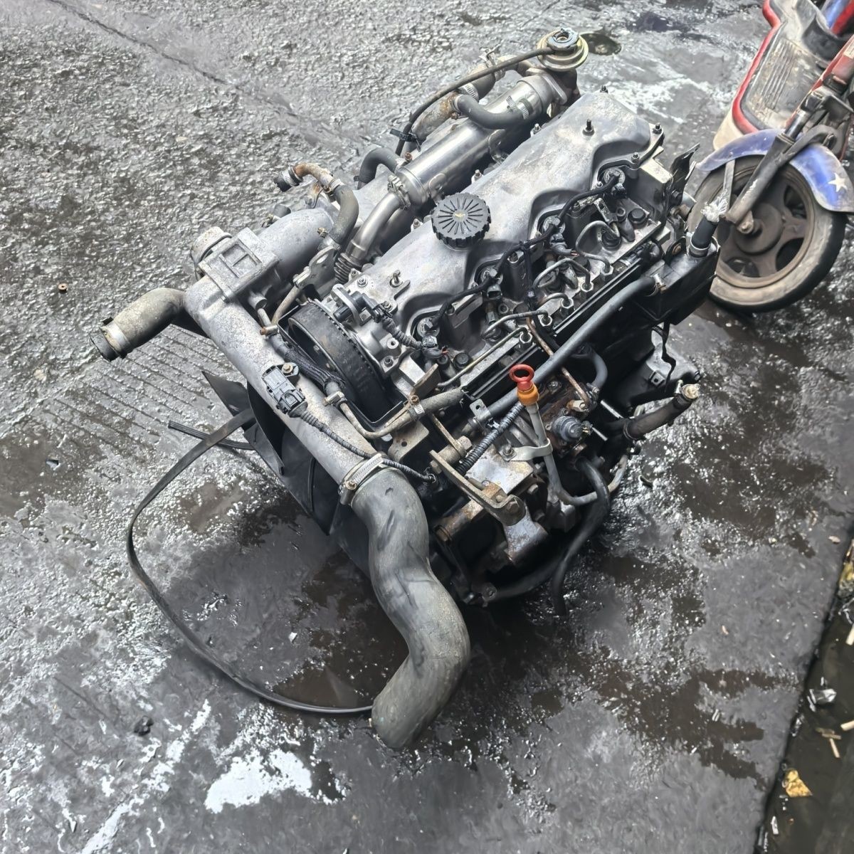 Iveco Yuejin 2.8T engine, Sofim 2.8T engine, Iveco Baodi, Turin engine
