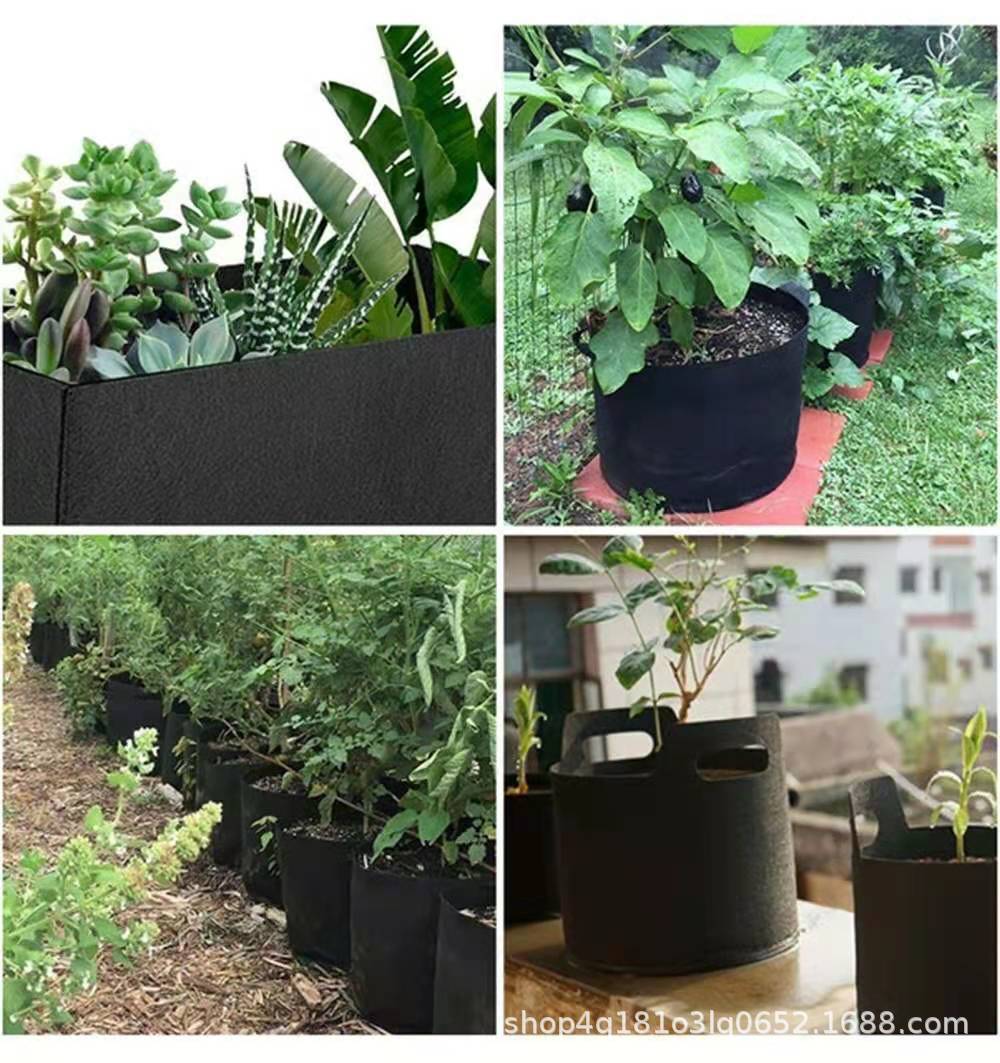 950a87cce72629cd16a3b15e18b001