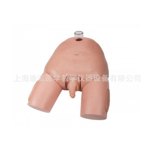Kay-H29E Advanced Male Bladder Puncture Model Male and Female Bladder Puncture Training Model