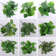 ����Gֲ�҃��bGֲ�������b�����~�ӾG�������ع��~�G�}�~