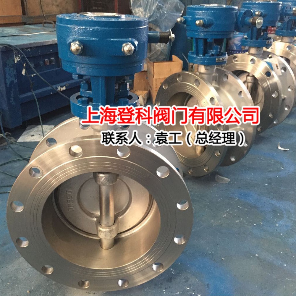DS343W-16P DN250 双向压力不锈钢法兰式304蝶阀、不锈钢涡轮蝶阀