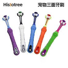 �羳������ˢ����ˢ���Ϲ�����ˢ��ǻ���������ͷ��ˢ������Ʒ