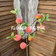 ����܇���ӼҾ��b�ֲ�qˮ����֦��ĭ�{������ˮ���廨â�����l