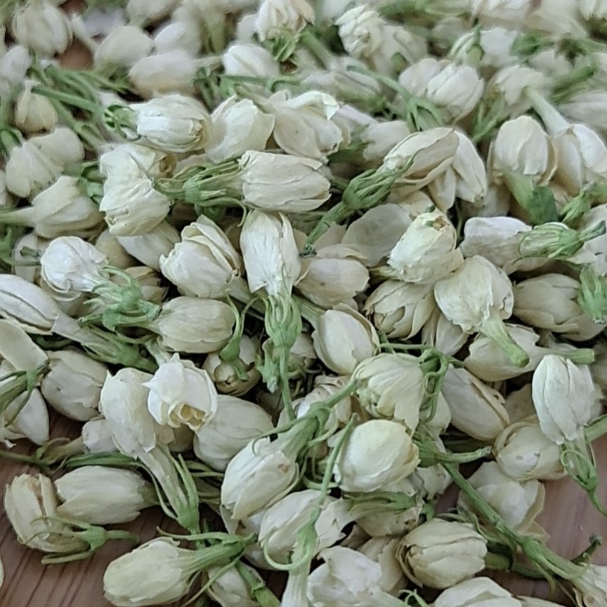 广西南宁横州市茉莉花产地直销，2025年1号茉莉花蕾，中花蕾