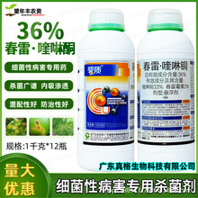 ��� ���|36%����.����~ �����Ҙ会���ǰ߲�ܛ����������