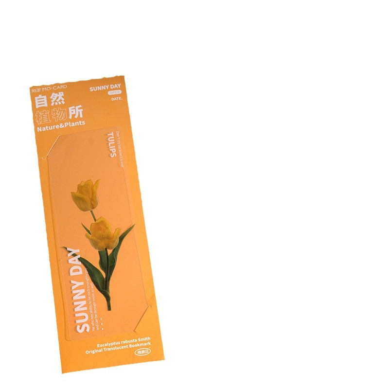 Mo mo PET translúcido marcador natural planta Instituto serie ins estilo diario DIY material decoración 5 unidades en 6 tipos