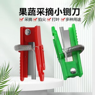 ����;���߲�ժС厵�������횵�С厵������S�ϲ�ժ����ժĴָ��